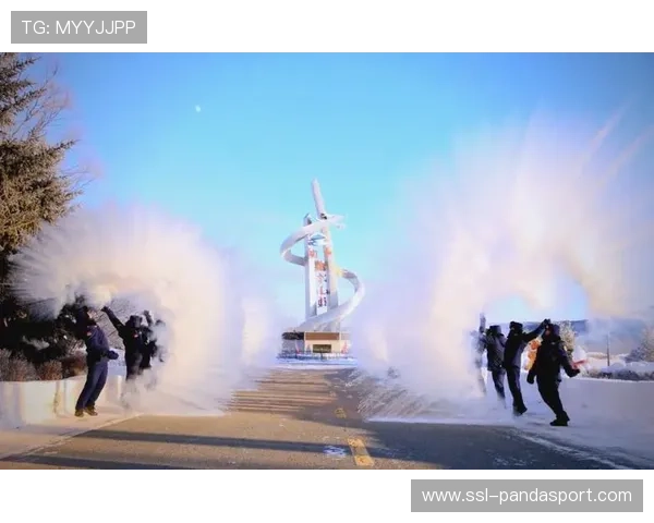 冰雪资源利用创新:北方地区如何开发特色冬季体育旅游