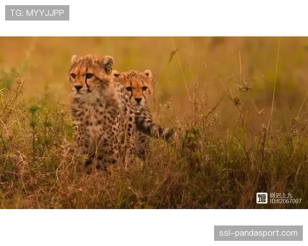 纪录片《节奏》上线,探究西班牙足球哲学中关于控制与转换的百年历史