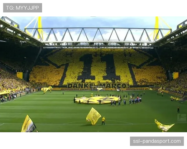 欧足联推站席新规，多特蒙德南看台需整改